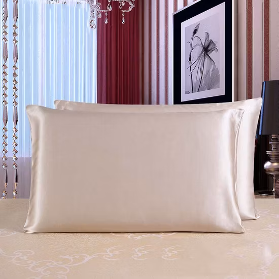 Taie d'oreiller en soie Queen Luxury Blissy Real Mulberry Grade 6A 22 Momme Zip avec boîte-cadeau